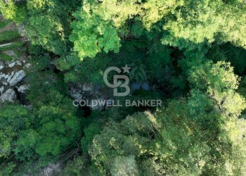 Foto 15 - Agricultural land Località Candalla, Camaiore - photo 15