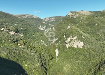 Foto 16 - Agricultural land Località Candalla, Camaiore - photo 16