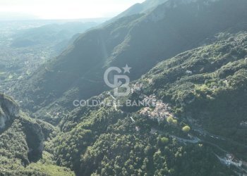 Foto 17 - Agricultural land Località Candalla, Camaiore - photo 17