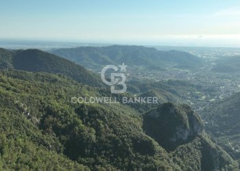 Foto 18 - Agricultural land Località Candalla, Camaiore - photo 18