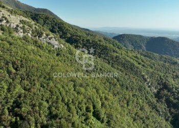 Foto 19 - Agricultural land Località Candalla, Camaiore - photo 19