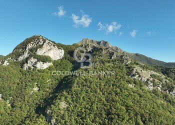 Foto 20 - Agricultural land Località Candalla, Camaiore - photo 20