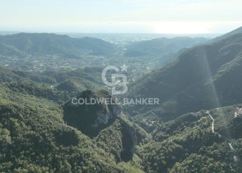 Foto 21 - Agricultural land Località Candalla, Camaiore - photo 21