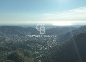 Foto 22 - Agricultural land Località Candalla, Camaiore - photo 22