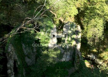 Foto 24 - Agricultural land Località Candalla, Camaiore - photo 24