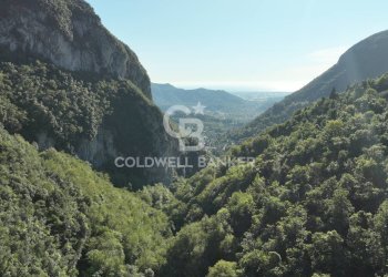 Foto 25 - Agricultural land Località Candalla, Camaiore - photo 25