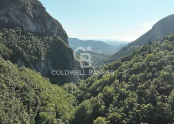 Foto 26 - Agricultural land Località Candalla, Camaiore - photo 26