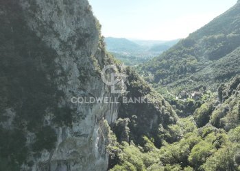 Foto 27 - Agricultural land Località Candalla, Camaiore - photo 27