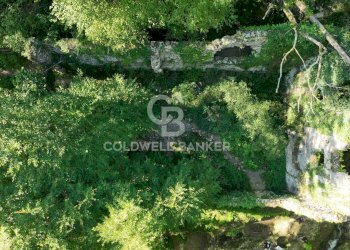 Foto 28 - Agricultural land Località Candalla, Camaiore - photo 28