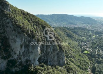 Foto 29 - Agricultural land Località Candalla, Camaiore - photo 29