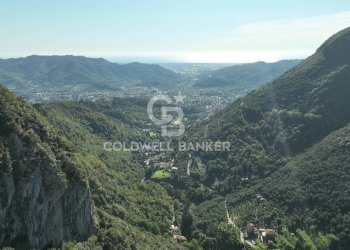 Foto 30 - Agricultural land Località Candalla, Camaiore - photo 30