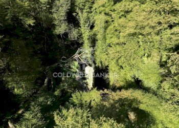 Foto 31 - Agricultural land Località Candalla, Camaiore - photo 31