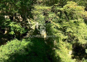 Foto 32 - Agricultural land Località Candalla, Camaiore - photo 32