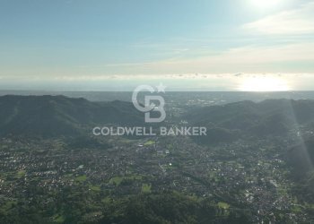 Foto 33 - Agricultural land Località Candalla, Camaiore - photo 33