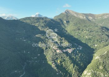 Foto 34 - Agricultural land Località Candalla, Camaiore - photo 34