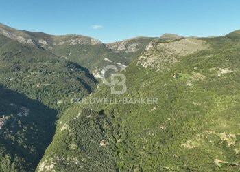 Foto 35 - Agricultural land Località Candalla, Camaiore - photo 35