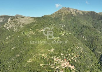 Foto 36 - Agricultural land Località Candalla, Camaiore - photo 36