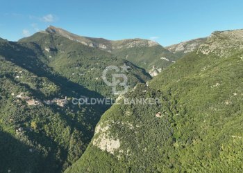 Foto 39 - Agricultural land Località Candalla, Camaiore - photo 39