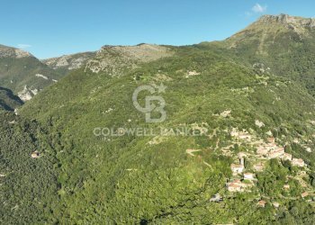 Foto 40 - Agricultural land Località Candalla, Camaiore - photo 40