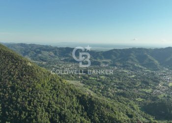 Foto 41 - Agricultural land Località Candalla, Camaiore - photo 41