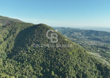 Foto 42 - Agricultural land Località Candalla, Camaiore - photo 42