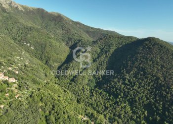 Foto 43 - Agricultural land Località Candalla, Camaiore - photo 43