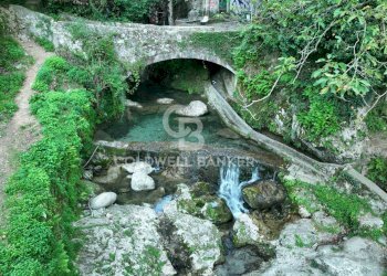 Foto 44 - Agricultural land Località Candalla, Camaiore - photo 44