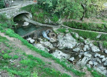 Foto 45 - Agricultural land Località Candalla, Camaiore - photo 45