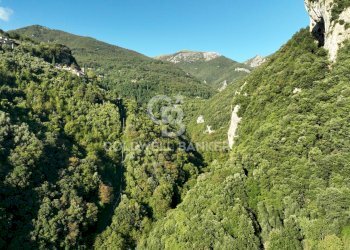 Foto 48 - Agricultural land Località Candalla, Camaiore - photo 48