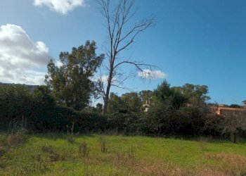 Terreno edificabile Via Antonio Ligabue, Roma (zona Acilia) - foto 2