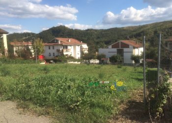 IMG_2428.JPG - Terreno edificabile Via Don Lorenzo Milani 4, Medesano - foto 2