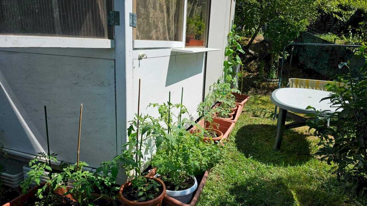 e47dd48d-c385-4ee5-b701-e6b1419e105a.jpg - Baita Via degli Ulivi 2, Castelnuovo Magra - foto 3