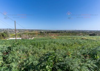 RIC09270.jpg - Rustic Siracusa - photo 6