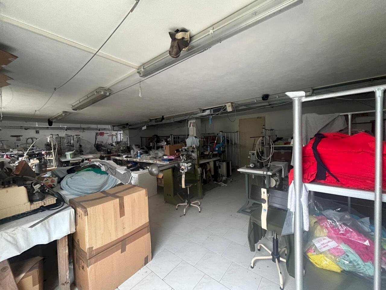 WhatsApp Image 2026-02-16 at 16.21.15 (2).jpeg - Clothing - Underwear Viale Maiella 23/A, Francavilla al Mare - photo 2