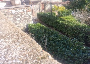 20260213_143936.jpg - Townhouse Via Carlo Alberto 68, Amelia - photo 9