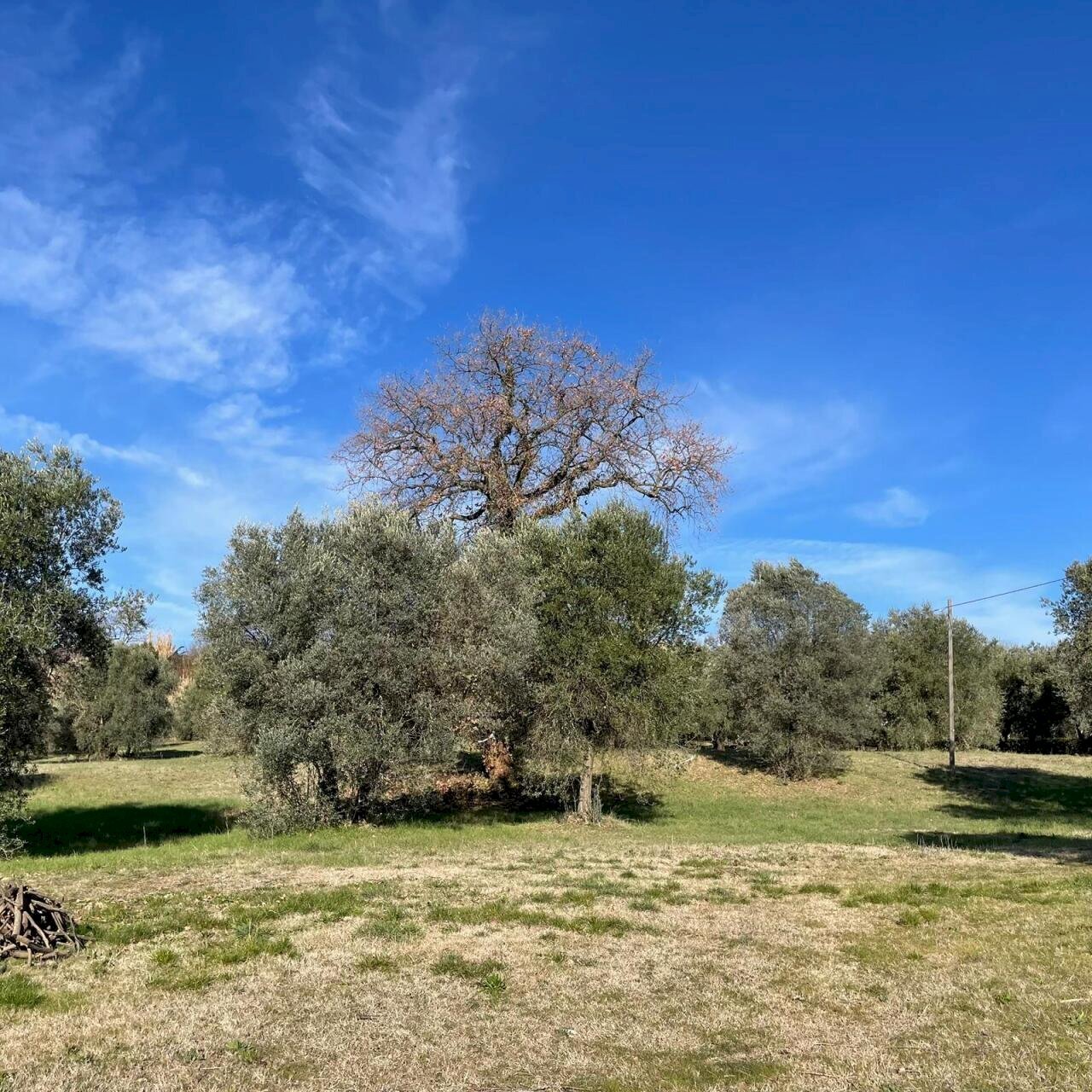 IMG-20260206-WA0023.jpg - Villa STRADA STATALE 8, Amelia - foto 2