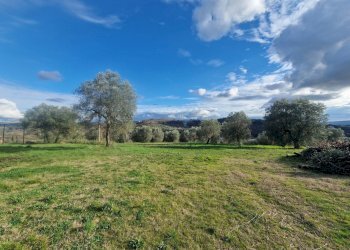 20260209_153526.jpg - Villa STRADA STATALE 8, Amelia - photo 1