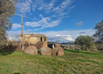 20260209_153504.jpg - Villa Strada Provinciale 8 8, Amelia - photo 1