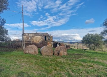 20260209_153540.jpg - Villa Strada Provinciale 8 8, Amelia - photo 4