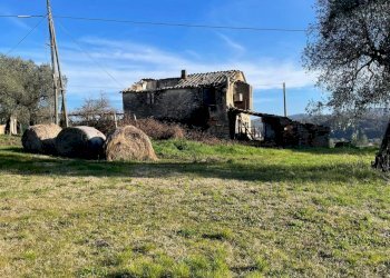 IMG-20260206-WA0024.jpg - Villa Strada Provinciale 8 8, Amelia - photo 5