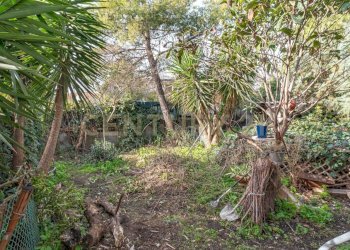 14 giardino.jpg - Appartamento Via delle Ginestre s.n.c., Pedara - foto 14