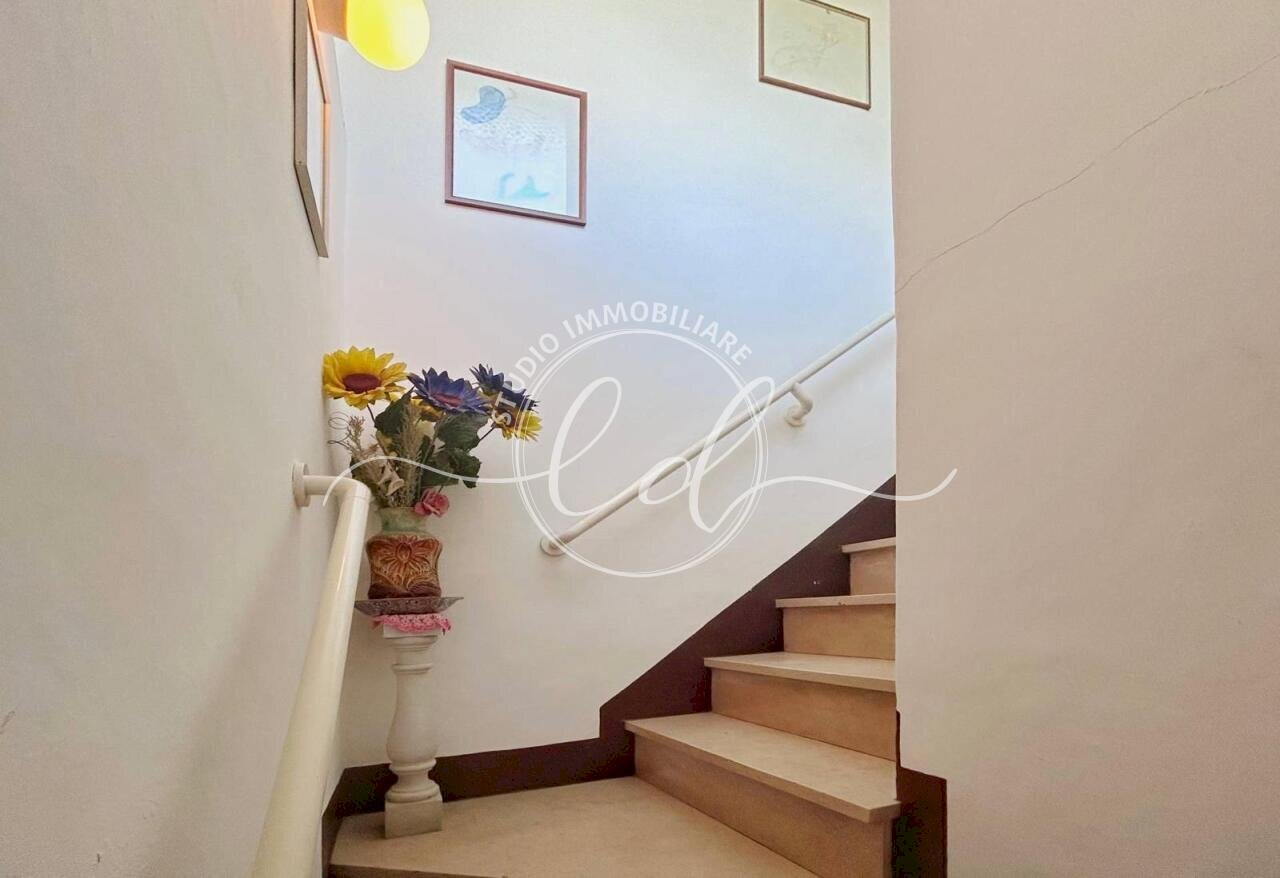 PHOTO-2026-02-16-13-19-35 3.jpg - Terratetto - Terracielo Pietrasanta - foto 2