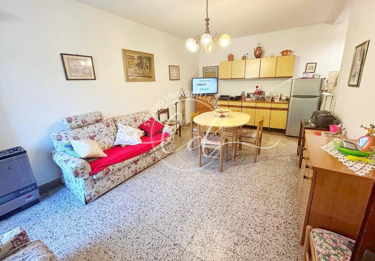 PHOTO-2026-02-16-13-19-35 4.jpg - Terratetto - Terracielo Pietrasanta - foto 3