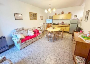 PHOTO-2026-02-16-13-19-35 4.jpg - Terratetto - Terracielo Pietrasanta - foto 3