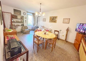 PHOTO-2026-02-16-13-19-35 5.jpg - Terratetto - Terracielo Pietrasanta - foto 4