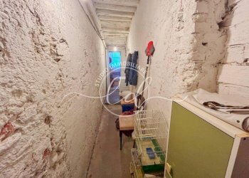 PHOTO-2026-02-16-13-19-35 12.jpg - Terratetto - Terracielo Pietrasanta - foto 11