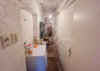 PHOTO-2026-02-16-13-19-35 13.jpg - Terratetto - Terracielo Pietrasanta - foto 12