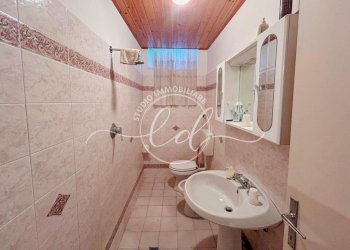 PHOTO-2026-02-16-13-19-35 21.jpg - Terratetto - Terracielo Pietrasanta - foto 20