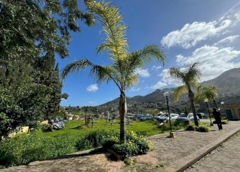 a7f0210e-04dd-48bc-93e6-81df92b7c70b.jpg - Four-room apartment Monreale - photo 9