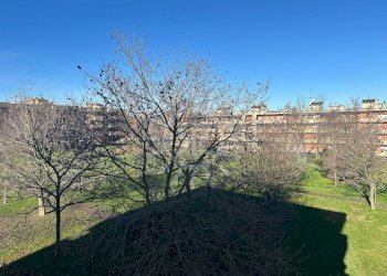 Quadrilocale Castel San Pietro Terme - foto 17
